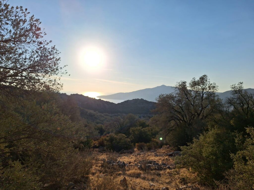 5,000 m² Olive-Grove Land near Kalkan – Antalya / Kaş / Bezirgan Mh. – photo 2