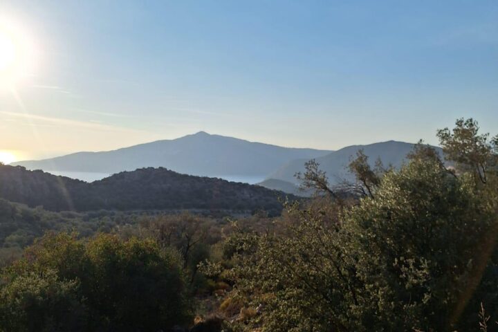 5,000 m² Olive-Grove Land near Kalkan – Antalya / Kaş / Bezirgan Mh. – photo 1