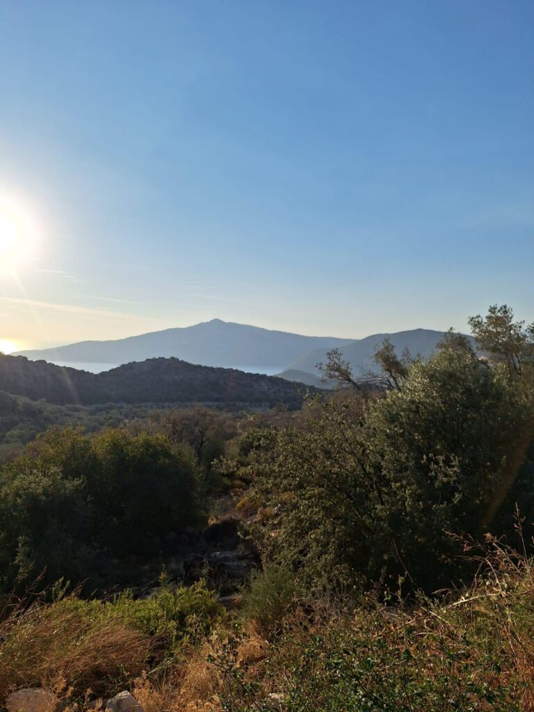 5,000 m² Olive-Grove Land near Kalkan – Antalya / Kaş / Bezirgan Mh. – photo 1