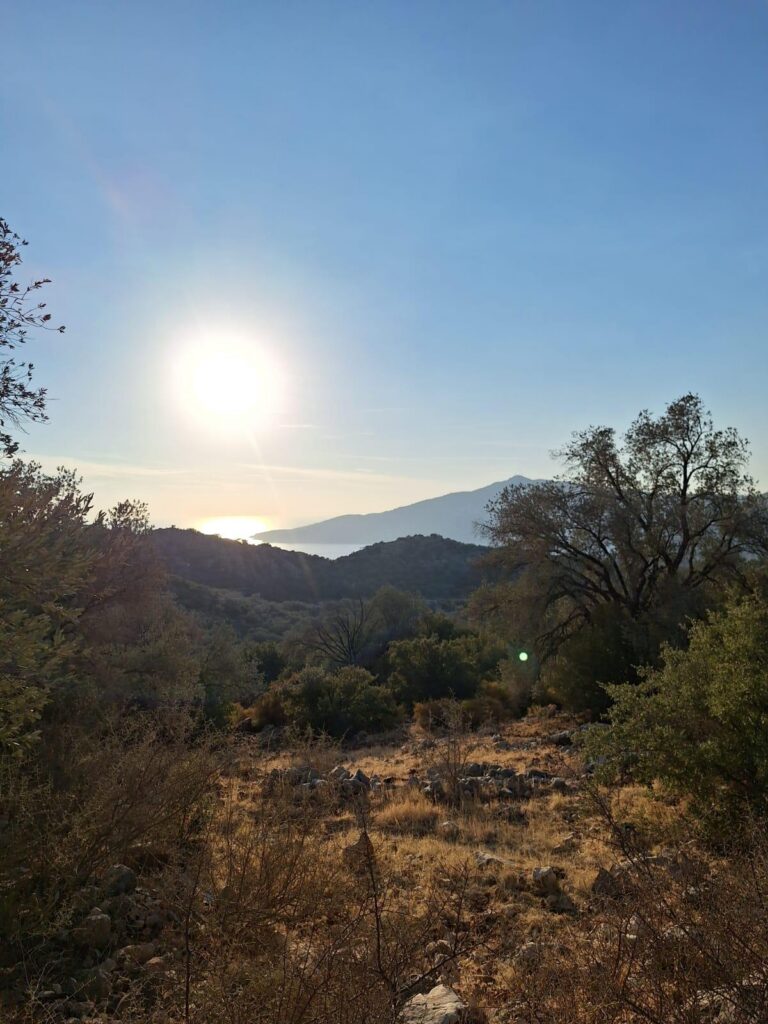 5,000 m² Olive-Grove Land near Kalkan – Antalya / Kaş / Bezirgan Mh. – photo 4