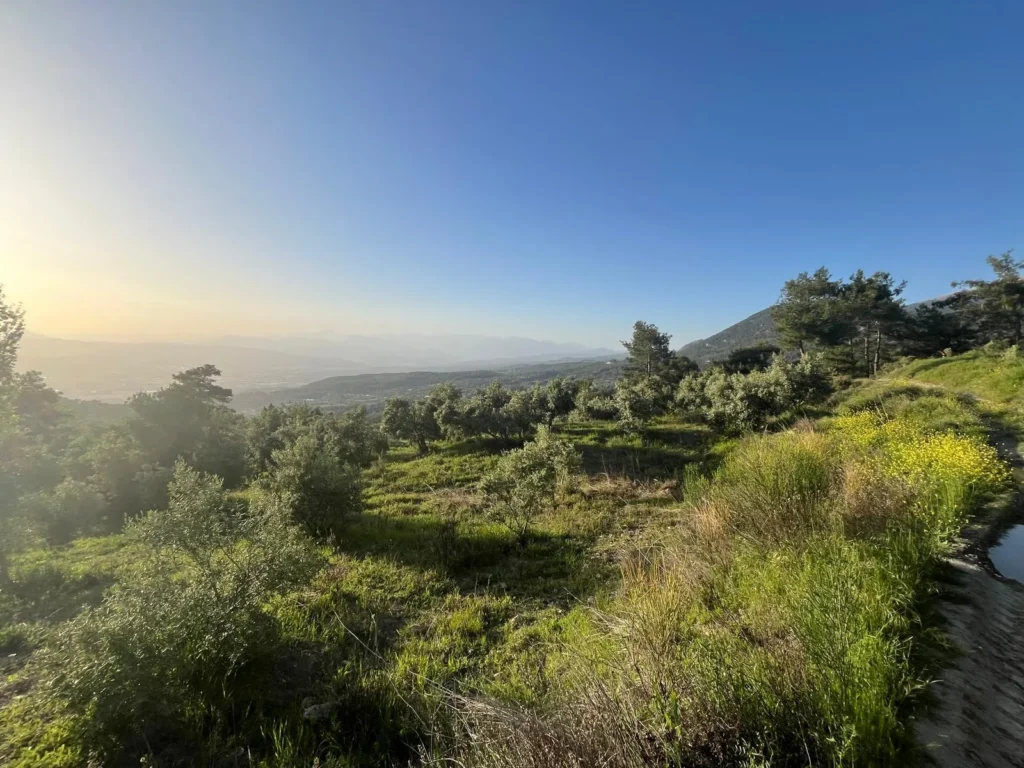 1,909 m² Apple Orchard for Sale in Arsaköy, Seydikemer – Muğla / Seydikemer / Arsaköy Mh. – photo 5