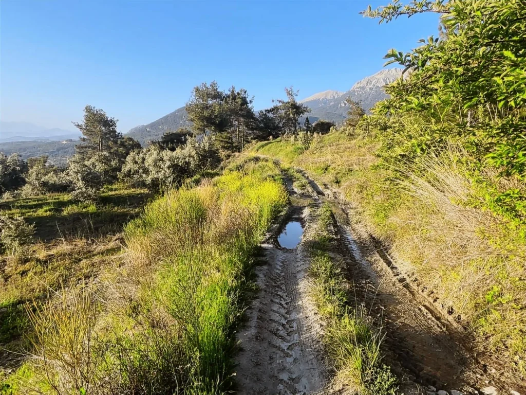 1,909 m² Apple Orchard for Sale in Arsaköy, Seydikemer – Muğla / Seydikemer / Arsaköy Mh. – photo 2