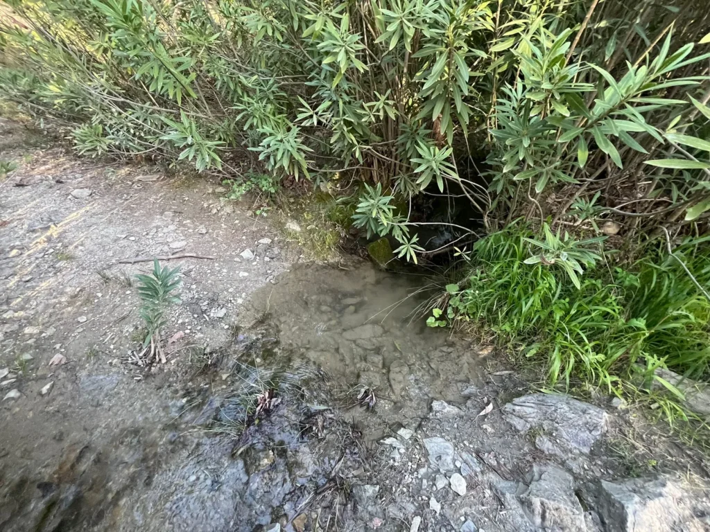 2,135 m² Olive Grove for Sale in Arsaköy, Seydikemer – Muğla / Seydikemer / Arsaköy Mh. – photo 5