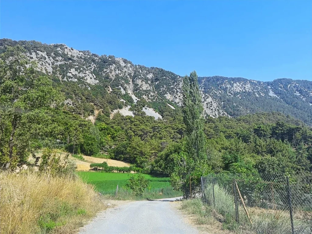 1,526 m² Land with Babadağ and Tlos Views in Yakaköy – 36.561704731869895, 29.434475578979498 – photo 3