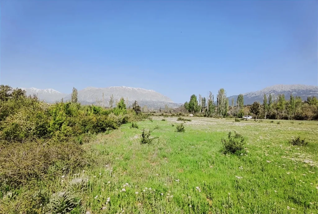 1,879 m² Apple Orchard with Sunset Views in Arsa Village – 36.4971639687282, 29.440951116416006 – photo 1