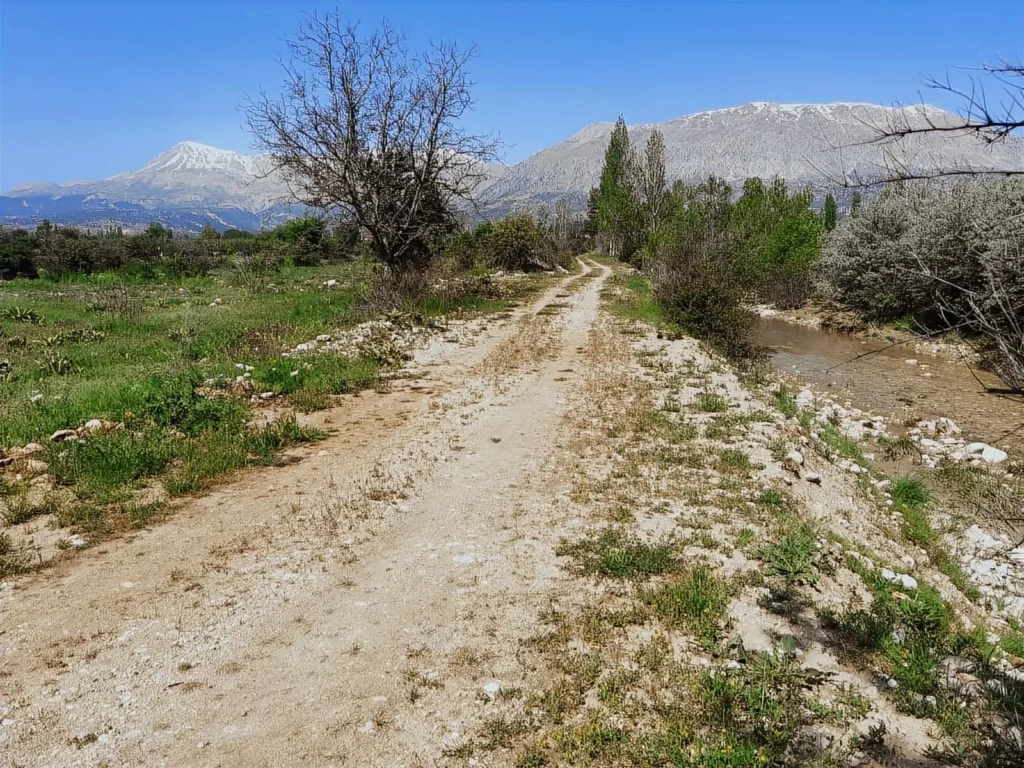 1,879 m² Apple Orchard with Sunset Views in Arsa Village – 36.4971639687282, 29.440951116416006 – photo 2