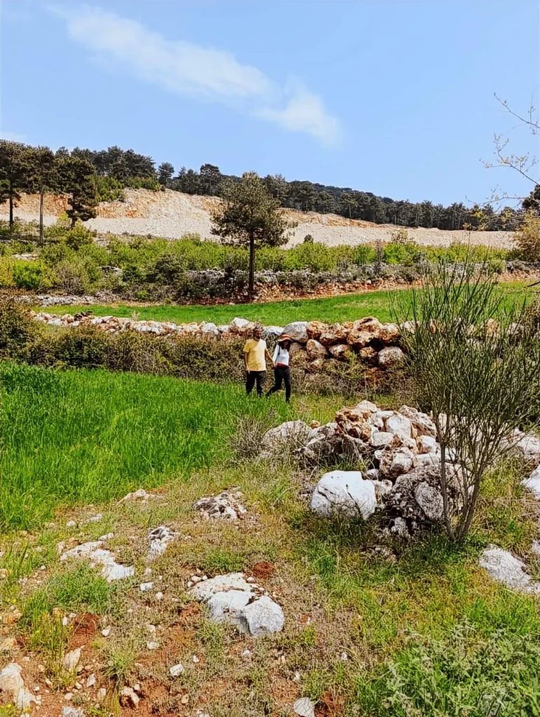 1,879 m² Apple Orchard with Sunset Views in Arsa Village – 36.4971639687282, 29.440951116416006 – photo 3
